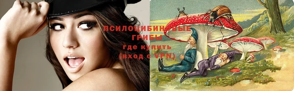 прущие крисы Аркадак