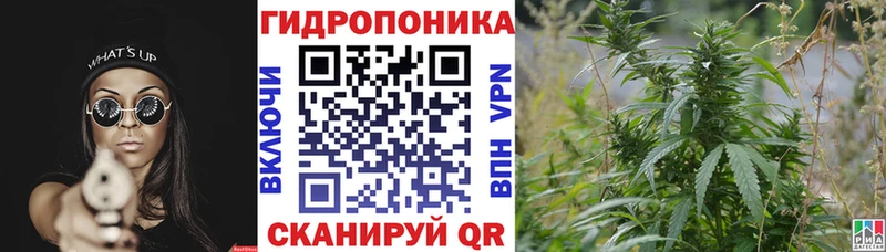 Каннабис Amnesia  Теберда 